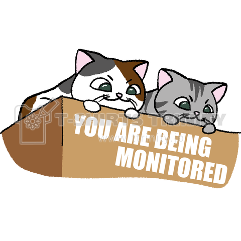 YOU ARE BEING MONITORED(ミケサバ)