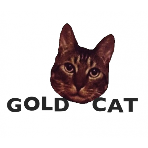 GOLD CAT