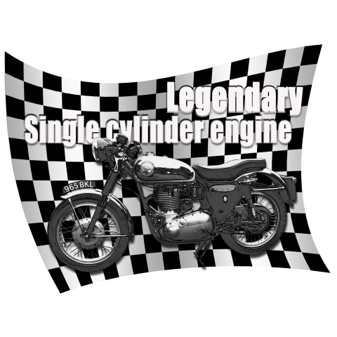 bsa