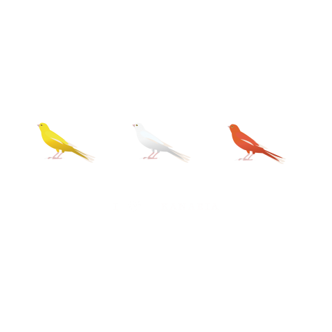 I love kanaria