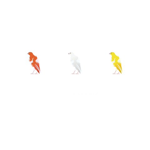 I love kanaria 2