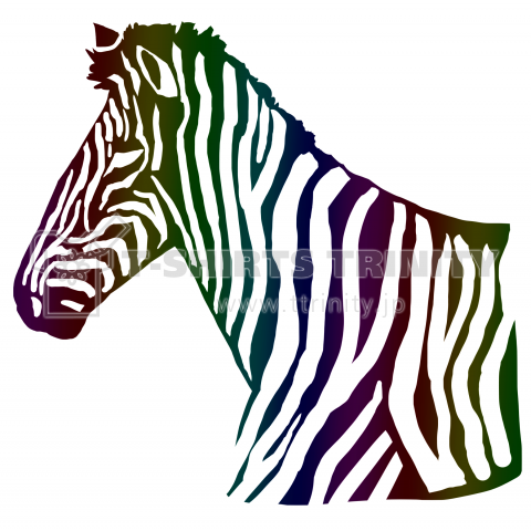 シマウマ -zebra-