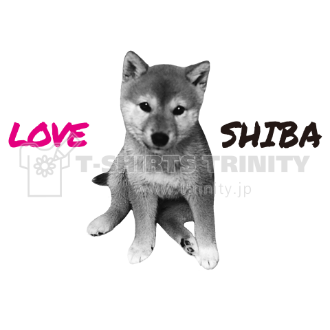 LOVE SHIBA