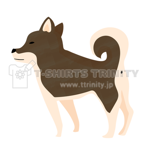 聞き耳を立てる黒柴