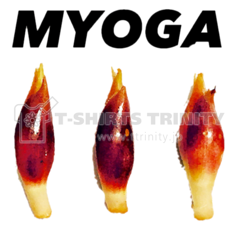 MYOGA