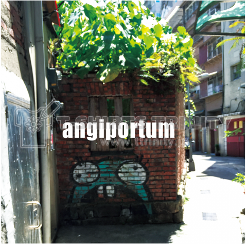 angiportum