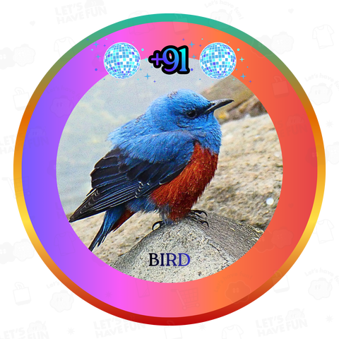 ​BOB - MARINE BLUE LOVER (1984 Ver.)