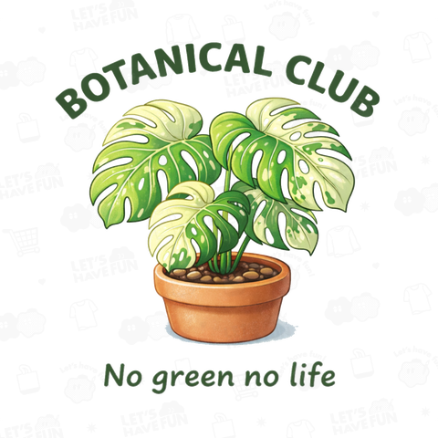 モンステラ(斑入り)