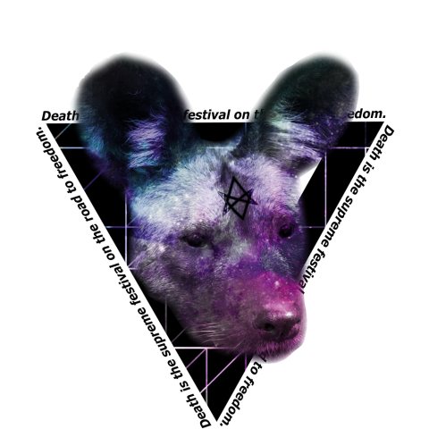 UNIVERSE HYENA