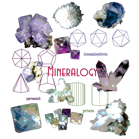 鉱物標本 Mineralogy デザインtシャツ通販 Tシャツトリニティ