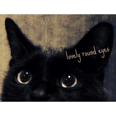 lovely round eyes