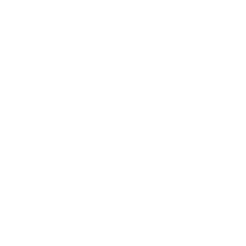 HOTCAST T-ST White