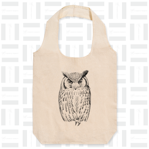 Northern white-faced owl (sleepy) アフリカオオコノハズク(ねむい)