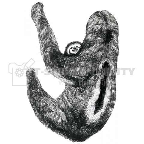 Three Toed Sloth Of The Family ミツユビナマケモノ親子 デザインtシャツ通販 Tシャツトリニティ