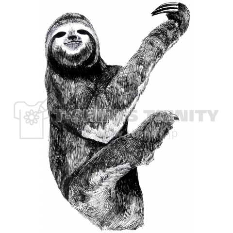 Three Toed Sloth Of The Family ミツユビナマケモノ親子 デザインtシャツ通販 Tシャツトリニティ
