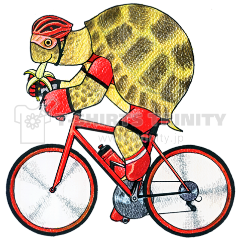 Cyclist of the tortoise リクガメの自転車乗り
