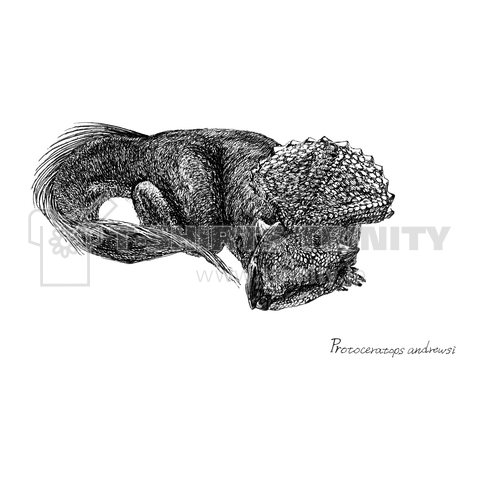 Protoceratops andrewsi