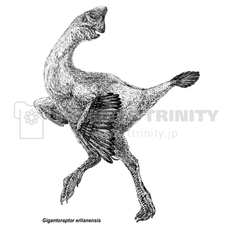 Gigantoraptor