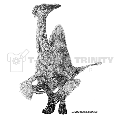 Deinocheirus Mirificus デザインtシャツ通販 Tシャツトリニティ