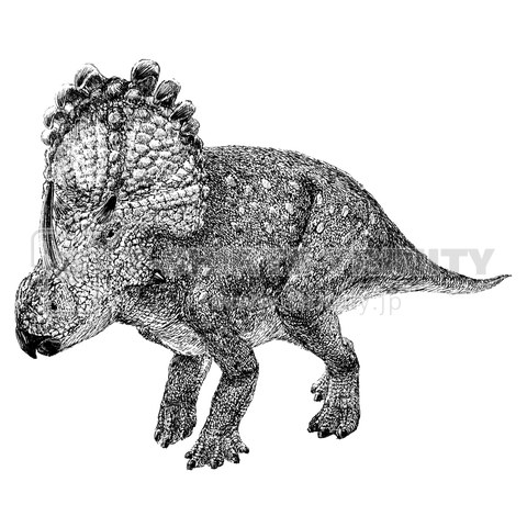 Sinoceratops