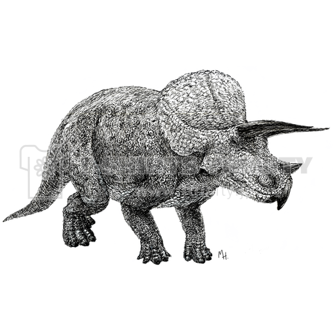 Triceratops Drawing デザインtシャツ通販 Tシャツトリニティ