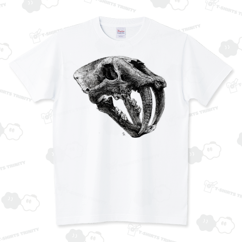 Smilodon(skull)