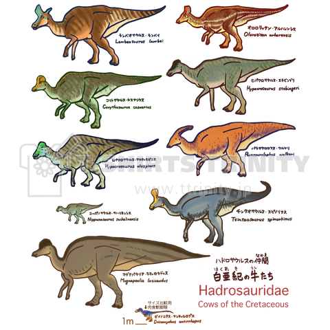 白亜紀の牛たち(トサカのある子ら)
