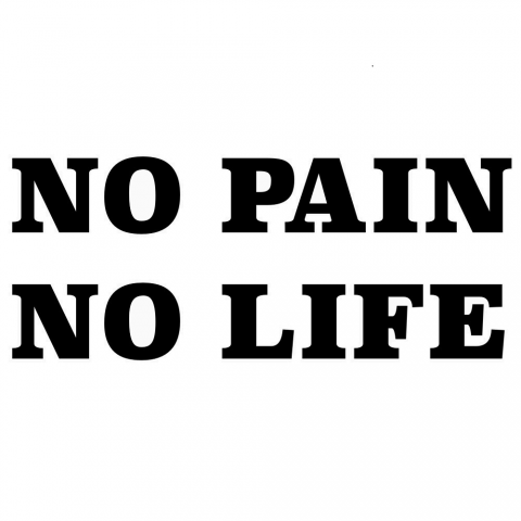 NO PAIN NO LIFE