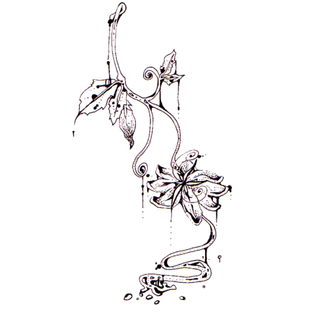 すべての花の画像 ロイヤリティフリー花 ツル イラスト