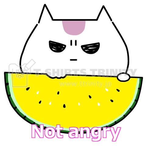 Not angry vol.13