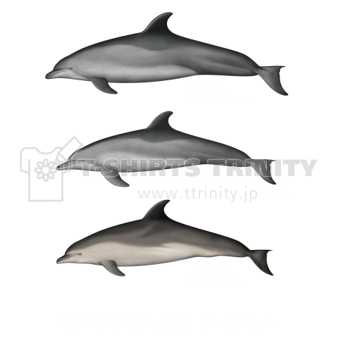 ハンドウイルカ 01 白文字 前面プリント デザインtシャツ通販 Tシャツトリニティ