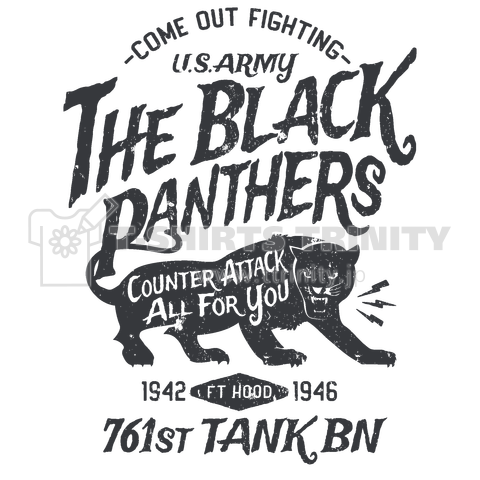 The Black Panthers