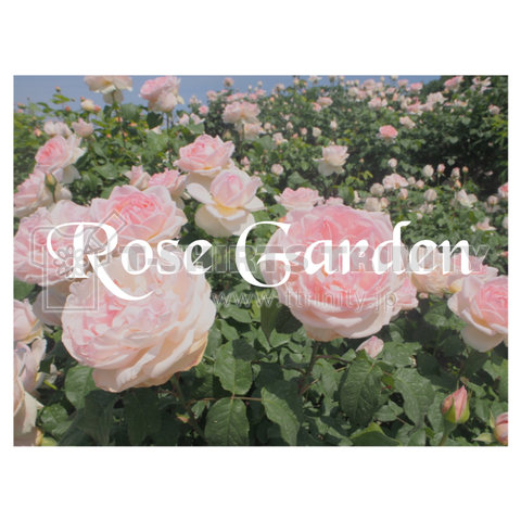 ROSE Garden