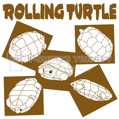 ROLLING TURTLE (茶)