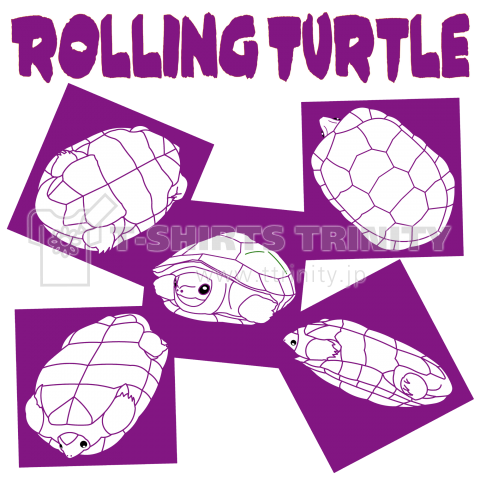 ROLLING TURTLE (紫)