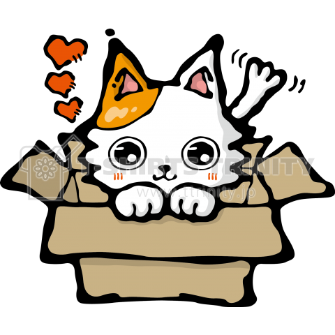 箱入り猫