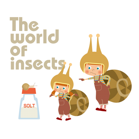 The world of insects【005】