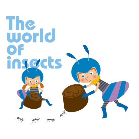 The world of insects【008】