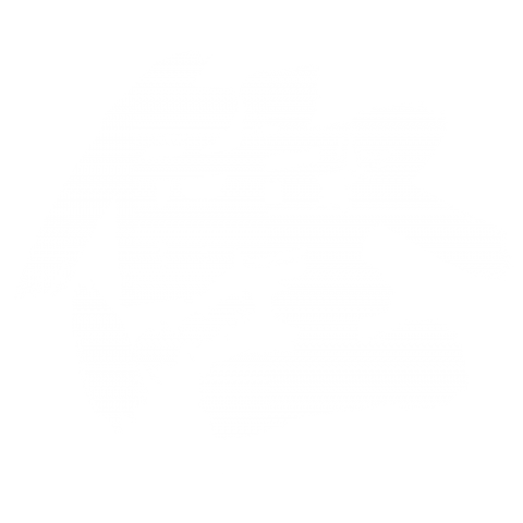 鰹 カツオ 筆白文字 デザインtシャツ通販 Tシャツトリニティ