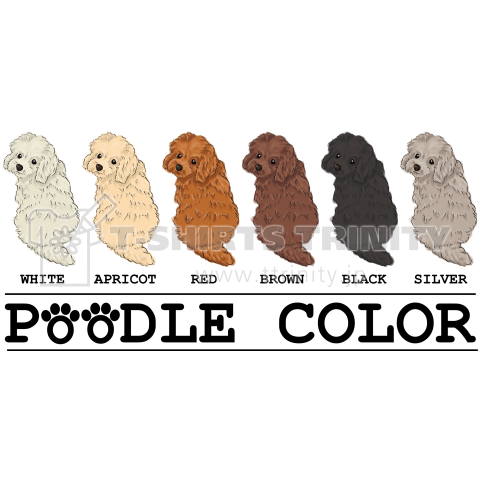 POODLE COLOR