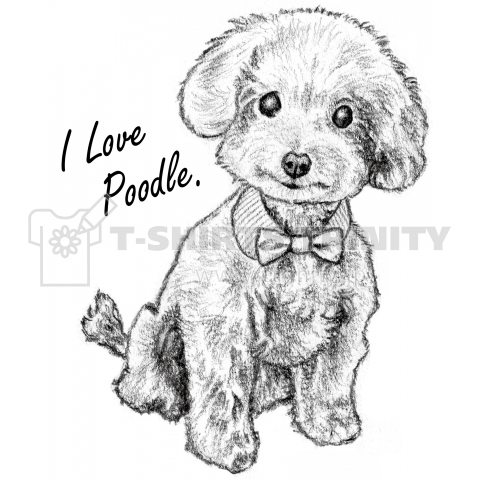 I Love Poodle. おめかし