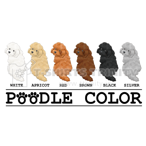 POODLE COLOR 水彩タッチ