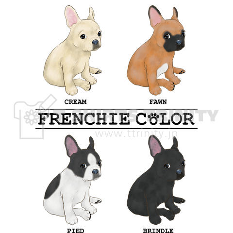 FRENCH BULLDOG COLOR 水彩タッチ