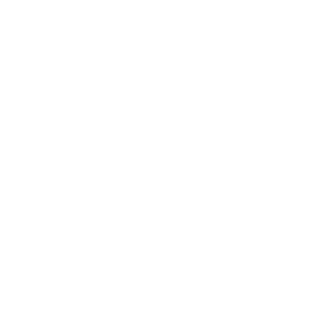 アコースティックねこ(濃色Tシャツ用)