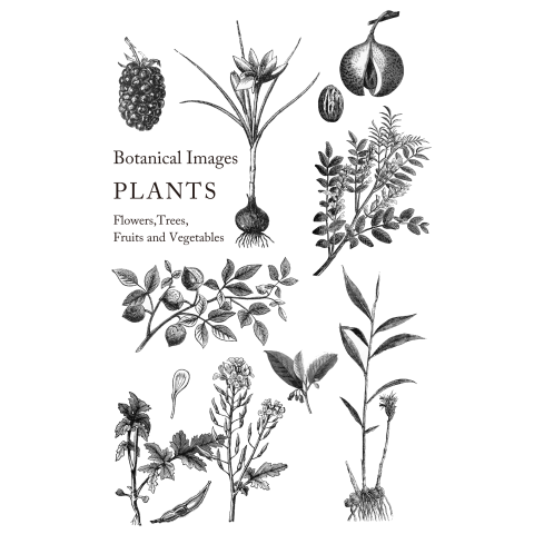 plants 1