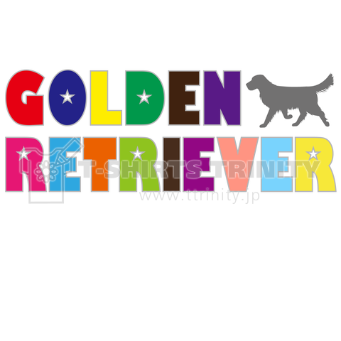 GoldenRetriever 24