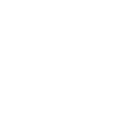 切り絵 バイク スズキ Suzuki ハヤブサ Gsx 1300rの切り絵 白 デザインtシャツ通販 Tシャツトリニティ