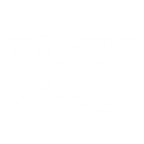 切り紙屋 フォルクスワーゲン Volkswagen ビートルの切り絵 白 デザインtシャツ通販 Tシャツトリニティ