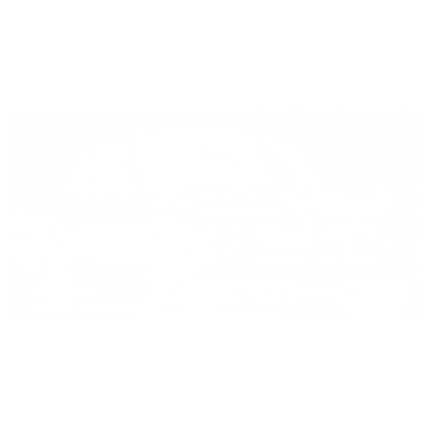 切り紙屋  GTR ハコスカの切り絵 白