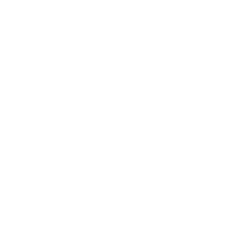 切り紙屋 トヨタ Toyota アルファードの切り絵 両面 白 デザインtシャツ通販 Tシャツトリニティ